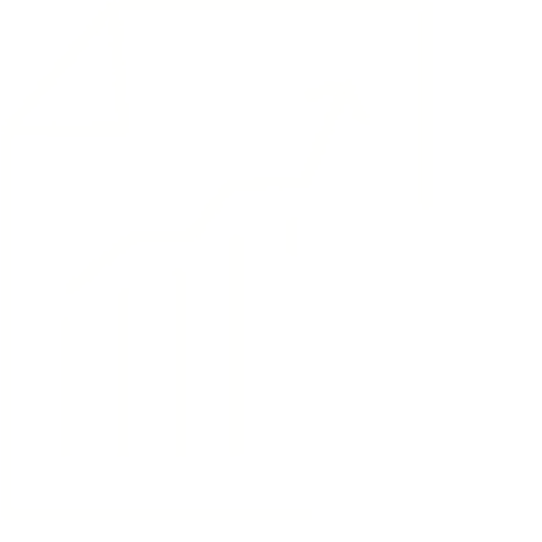 Business Evaluation, Planning & Monitoring of Projects