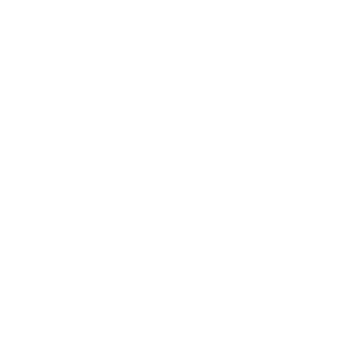 Availability of a large network of experts