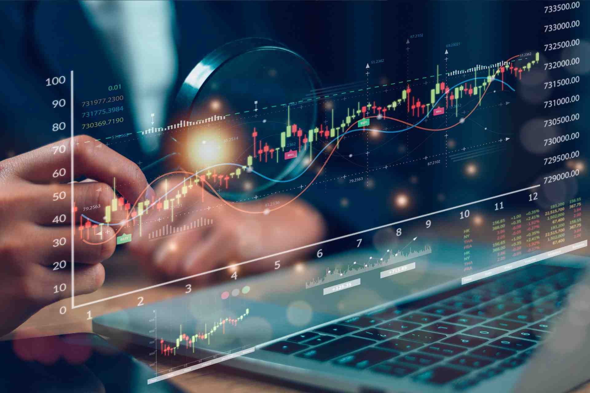 Market analysis, know how sharing and Training