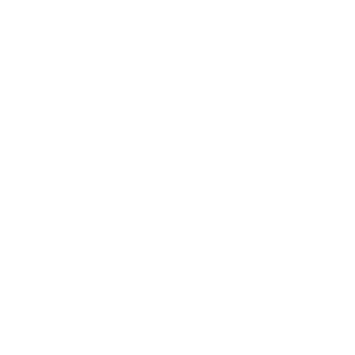 expertise in large transformation programs